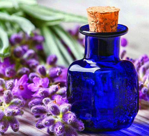 olio_essenziale_lavanda